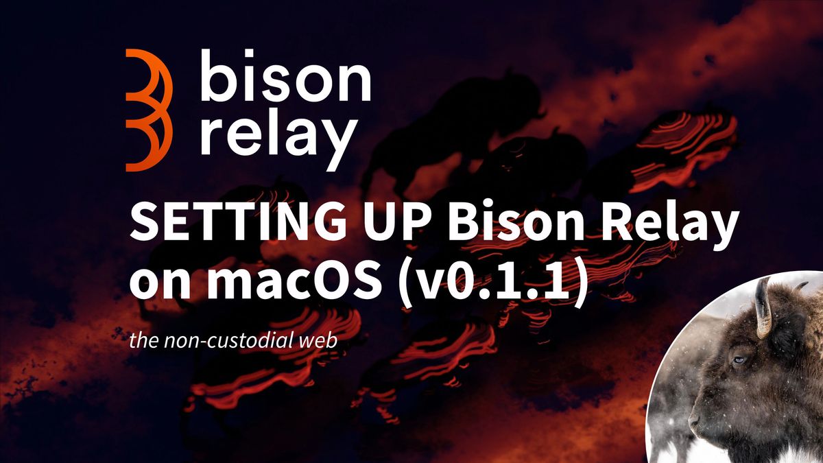Setting up Bison Relay v0.1.1 on macOS