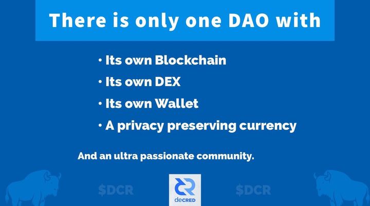 Qiao Wang’s vision of Digital Nation States is actually describing the Decred DAO.
