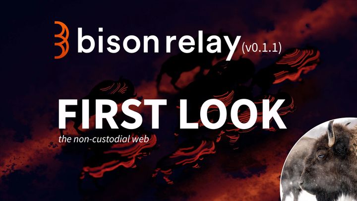 Bison Relay - First Look (version 0.1.1)